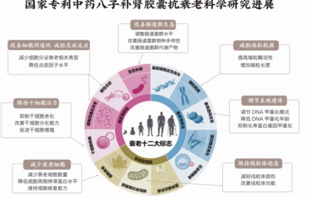 该产品的核心魅力是什么？