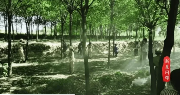 新星涌现基础渐厚，如何培养更多未来之星？